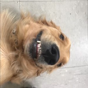 Meet your Posher, Layla